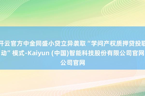 开云官方中金同盛小贷立异袭取“学问产权质押贷投联动”模式-Kaiyun (中国)智能科技股份有限公司官网