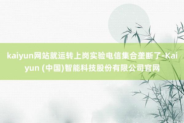 kaiyun网站就运转上岗实验电信集合垄断了-Kaiyun (中国)智能科技股份有限公司官网
