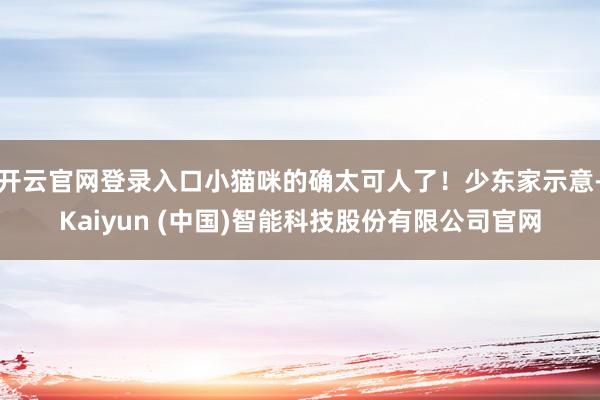开云官网登录入口小猫咪的确太可人了!少东家示意-Kaiyun (中国)智能科技股份有限公司官网