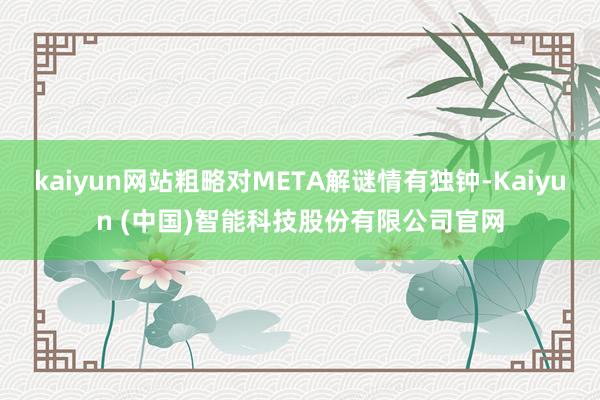 kaiyun网站粗略对META解谜情有独钟-Kaiyun (中国)智能科技股份有限公司官网