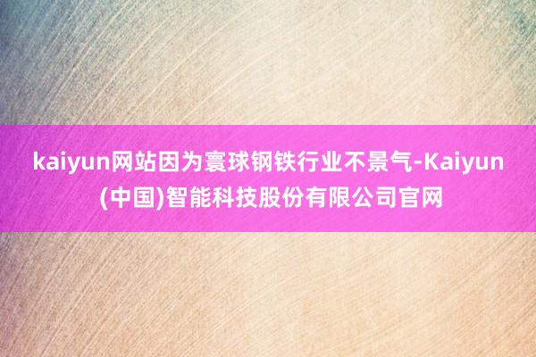 kaiyun网站因为寰球钢铁行业不景气-Kaiyun (中国)智能科技股份有限公司官网
