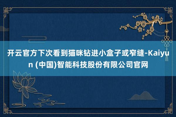 开云官方下次看到猫咪钻进小盒子或窄缝-Kaiyun (中国)智能科技股份有限公司官网