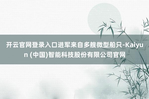 开云官网登录入口进军来自多艘微型船只-Kaiyun (中国)智能科技股份有限公司官网