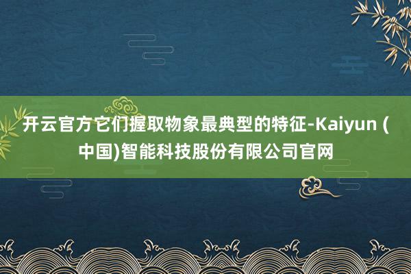 开云官方它们握取物象最典型的特征-Kaiyun (中国)智能科技股份有限公司官网