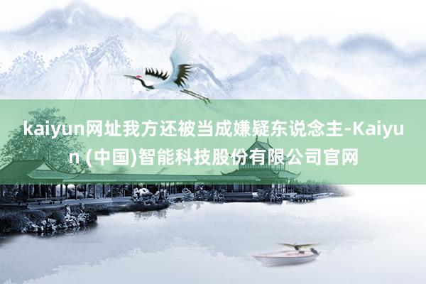 kaiyun网址我方还被当成嫌疑东说念主-Kaiyun (中国)智能科技股份有限公司官网