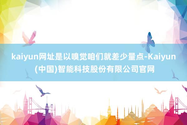 kaiyun网址是以嗅觉咱们就差少量点-Kaiyun (中国)智能科技股份有限公司官网