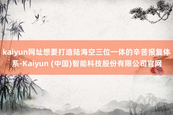 kaiyun网址想要打造陆海空三位一体的辛苦报复体系-Kaiyun (中国)智能科技股份有限公司官网