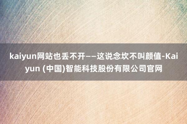 kaiyun网站也丢不开——这说念坎不叫颜值-Kaiyun (中国)智能科技股份有限公司官网