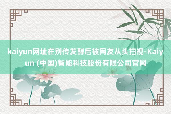 kaiyun网址在别传发酵后被网友从头扫视-Kaiyun (中国)智能科技股份有限公司官网