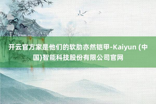 开云官方家是他们的软肋亦然铠甲-Kaiyun (中国)智能科技股份有限公司官网